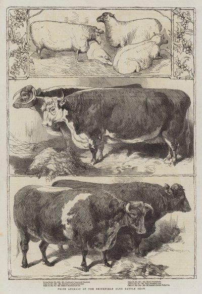 Animales premiados del Smithfield Club Cattle Show de Harrison William Weir
